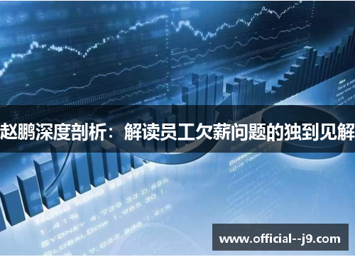 赵鹏深度剖析：解读员工欠薪问题的独到见解