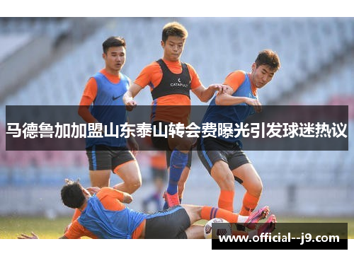 马德鲁加加盟山东泰山转会费曝光引发球迷热议